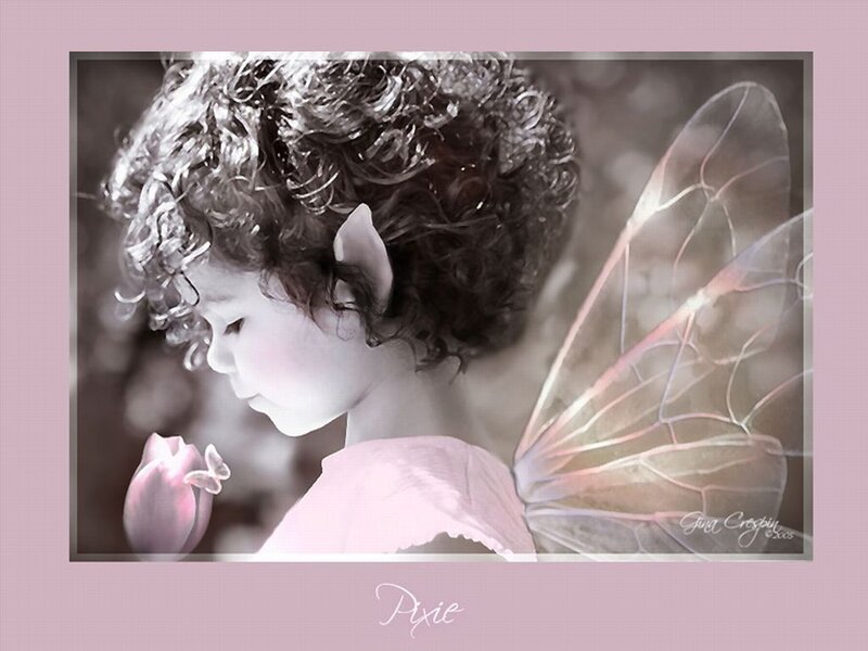 Child with Fairy Wings — Pink
