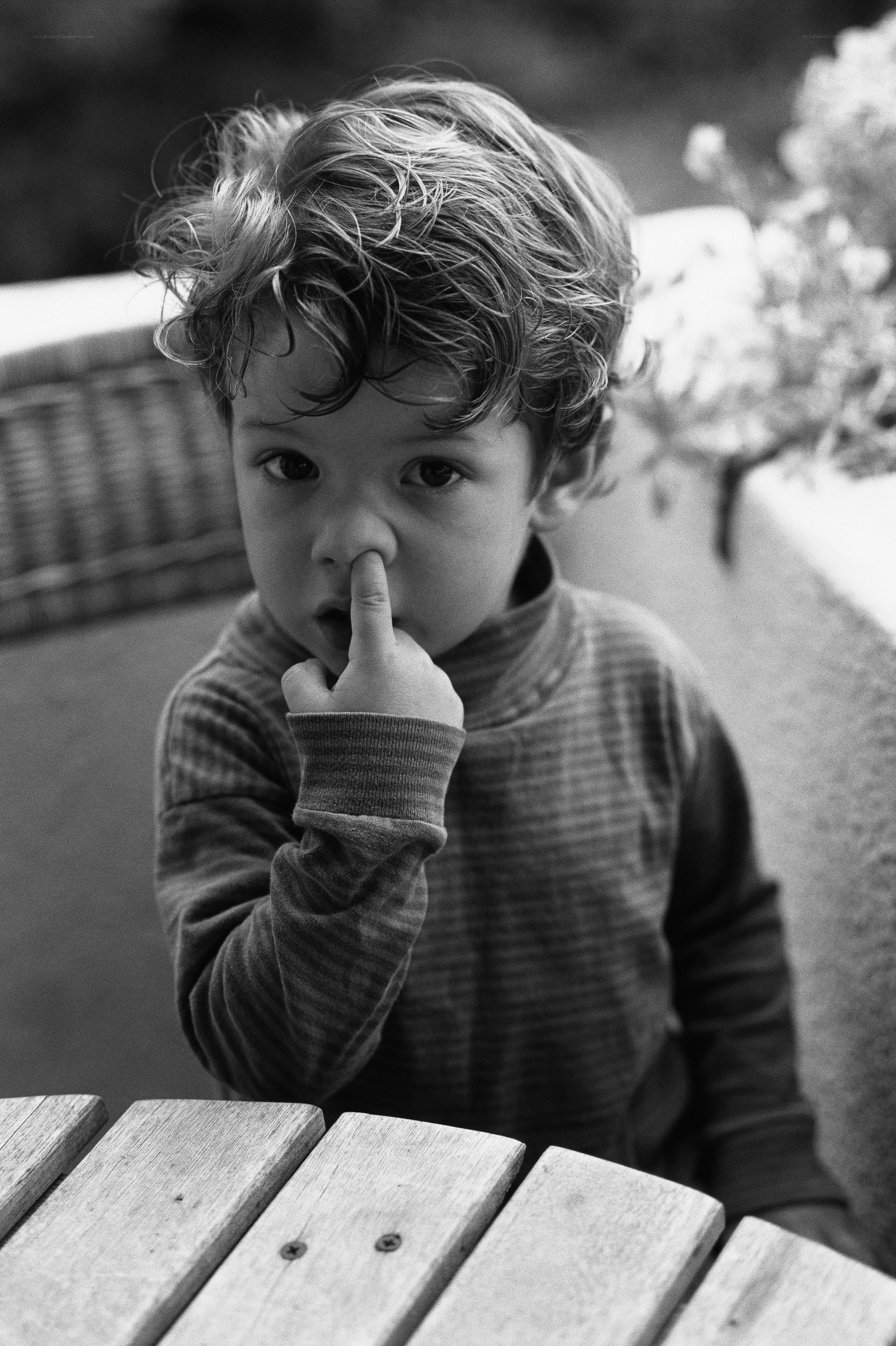 child with finger in nose