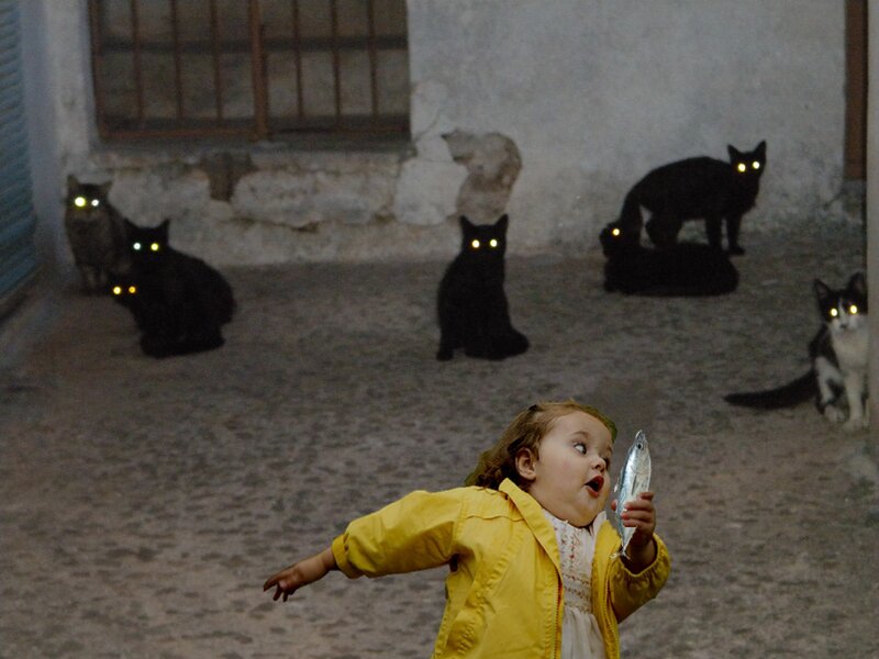 child with fish surrounded by cats