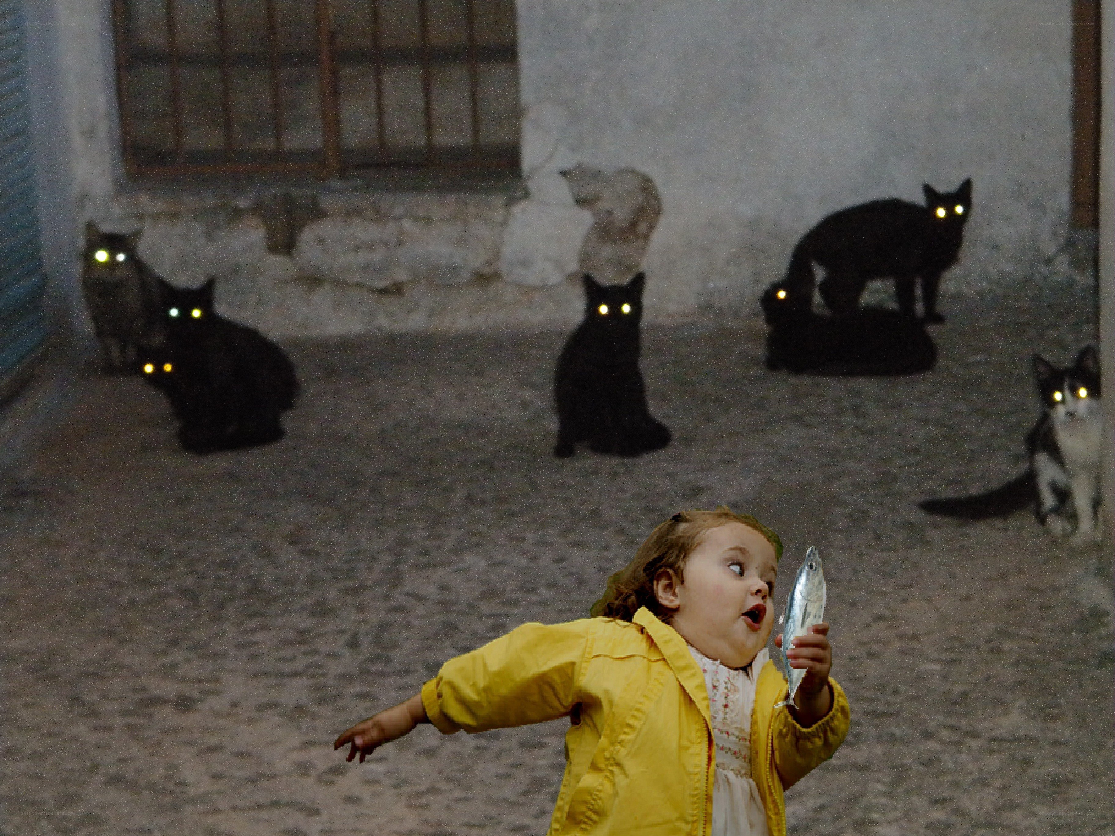 child with fish surrounded by cats