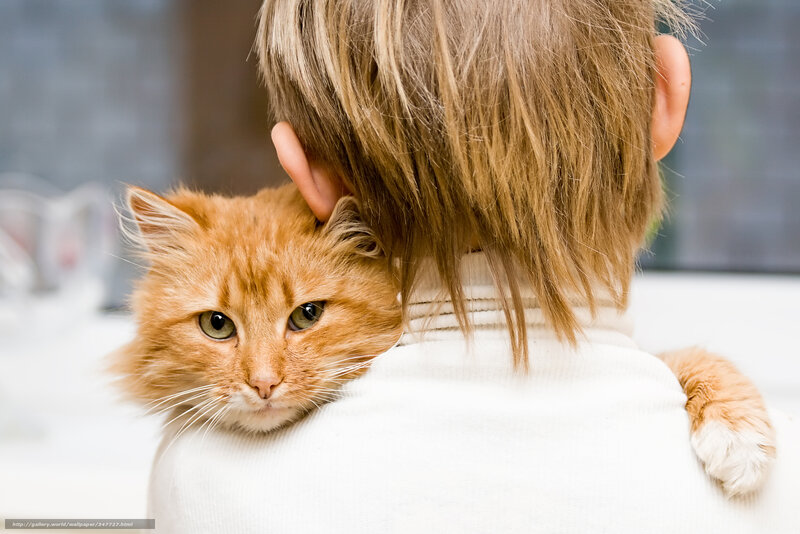 child with ginger cat