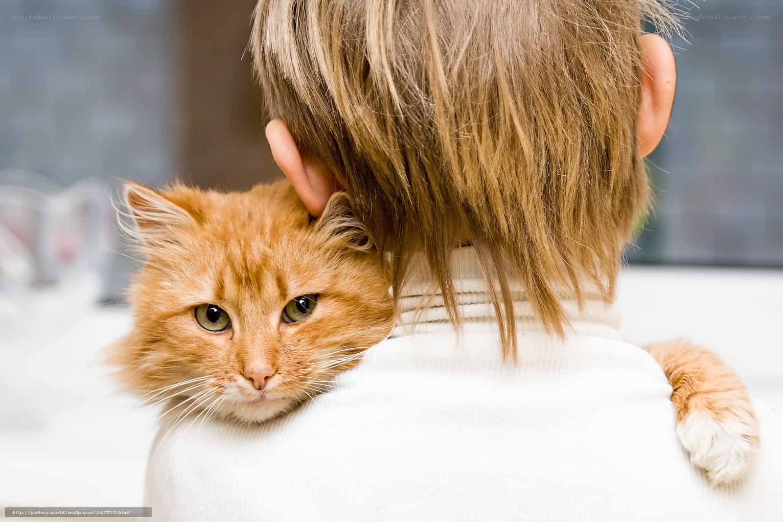 child with ginger cat