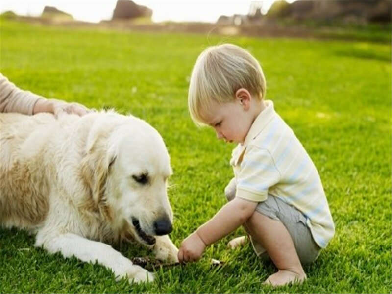 Child with Golden Retriever — Green