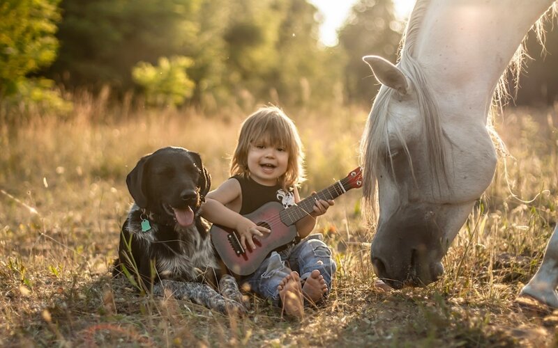 Child with Guitar and Animals