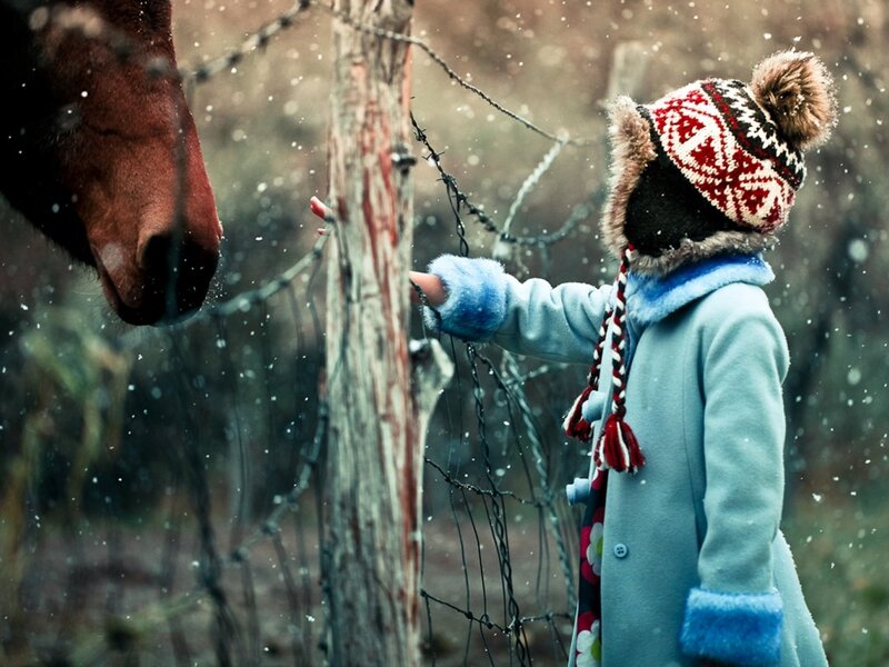 Child with Horse — Blue, Calm, Winter