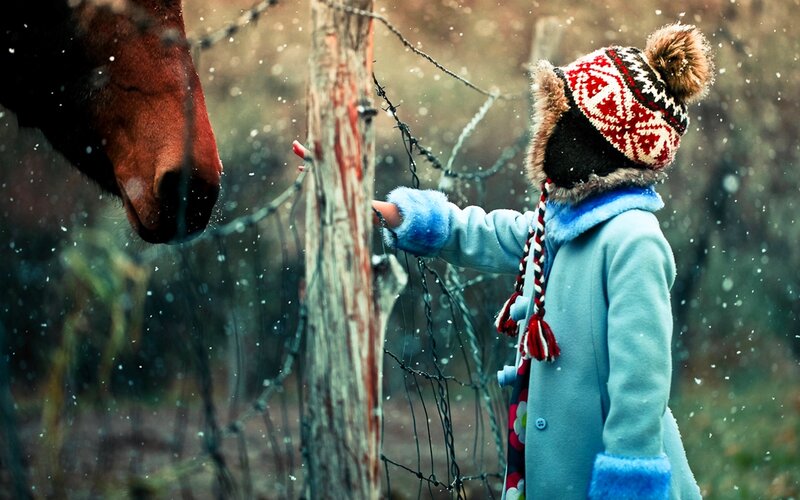 Child with Horse — Blue