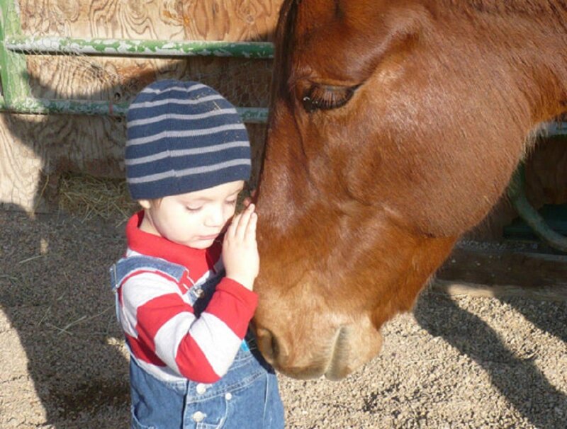 Child with Horse — Brown