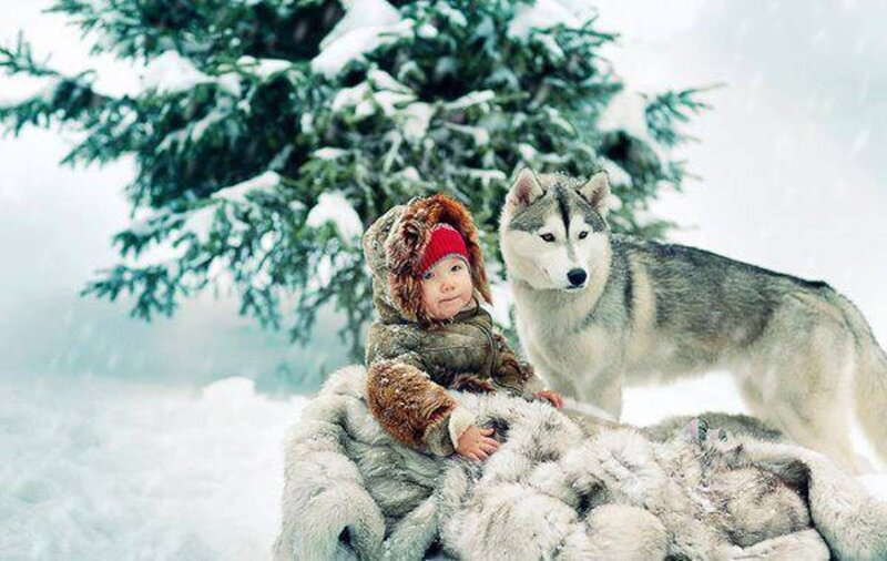 Child with Husky Dog — White, Serene