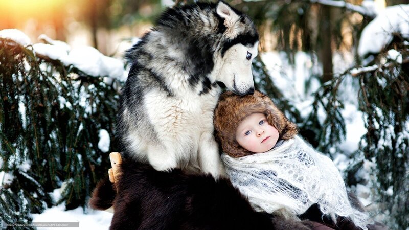 Child with Husky Dog — White, Serene, Winter