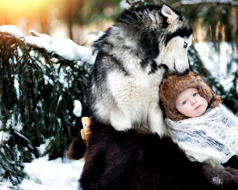 Child with Husky Dog — White
