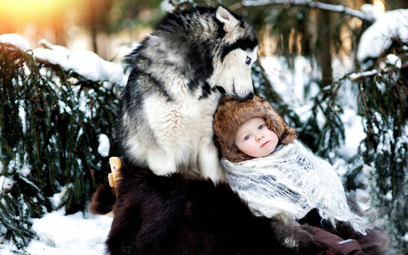 child with husky in snow