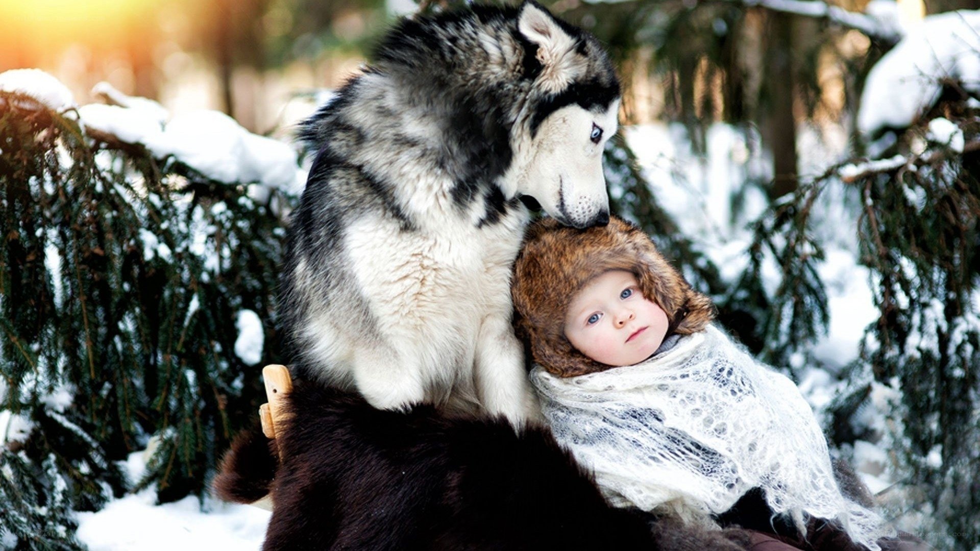 child with husky in snow