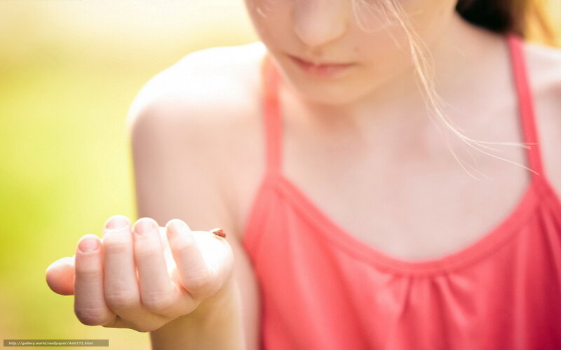 child with ladybug on hand