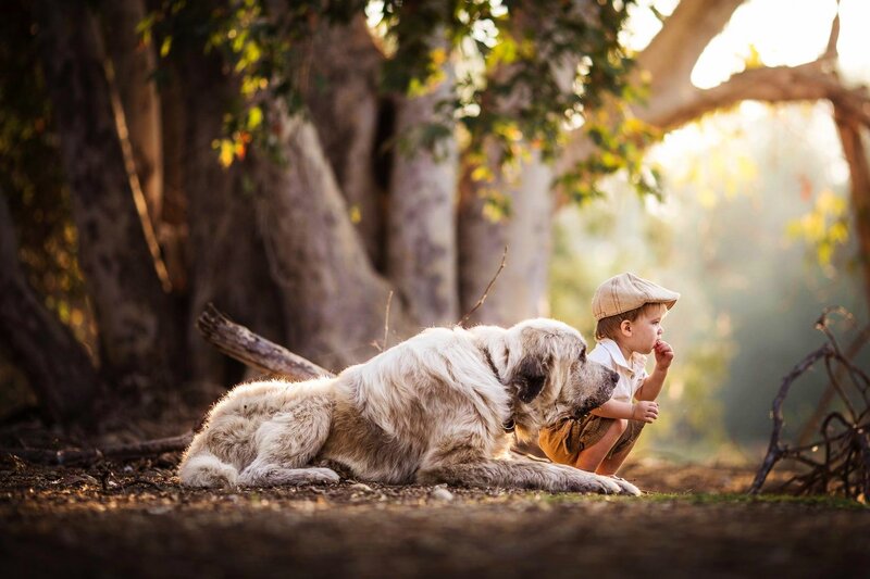 Child with Large Dog — Brown, Serene