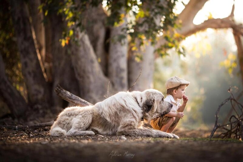 Child with Large Dog — Brown