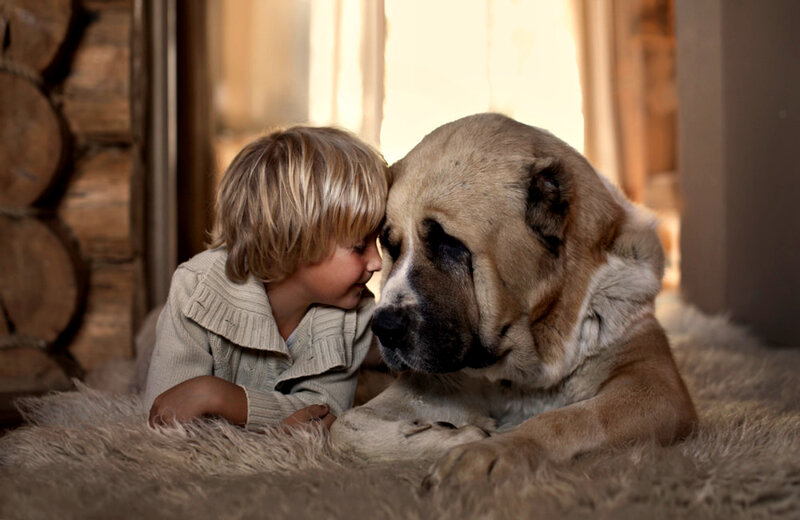 Child with Large Dog