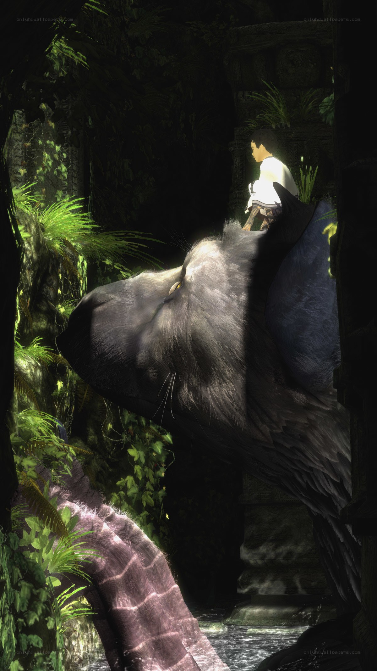 child with large wolf in jungle