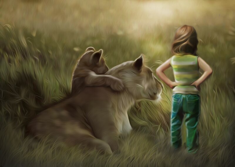 child with lioness in field