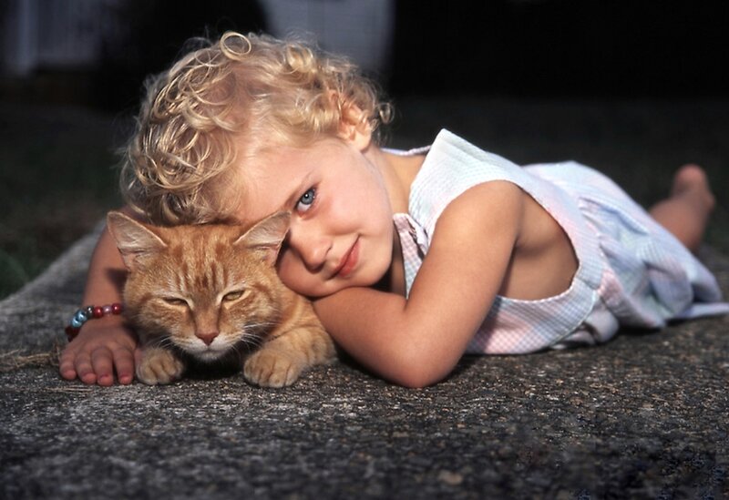 Child with Orange Cat
