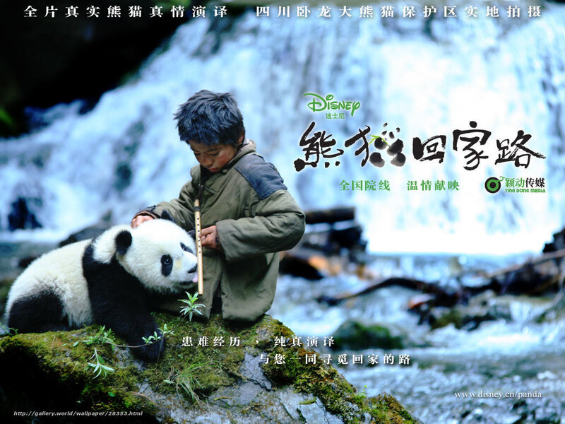 Child with Panda Cub