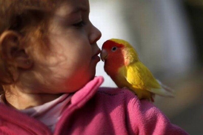 Child with Parrot