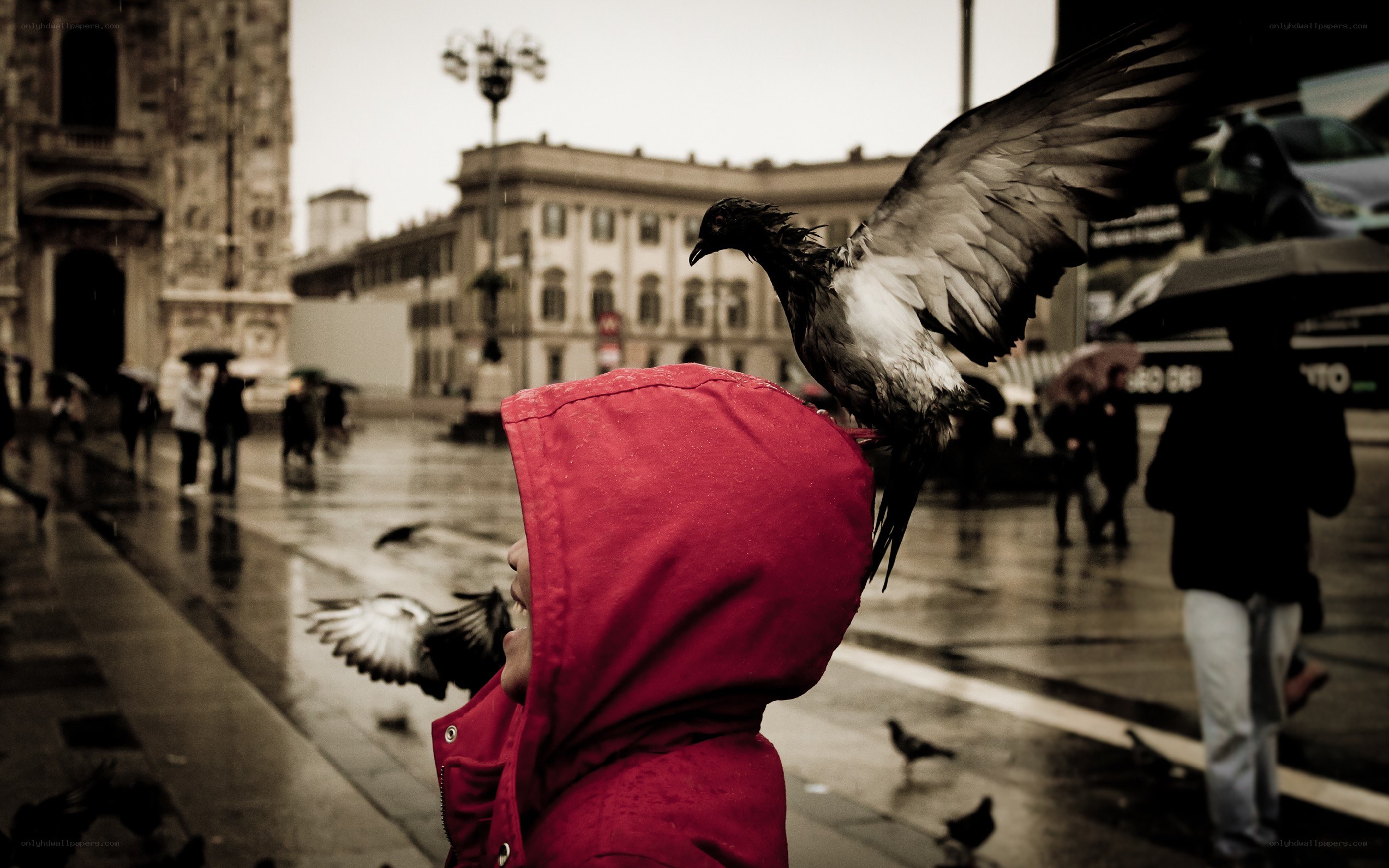 child with pigeon on shoulder