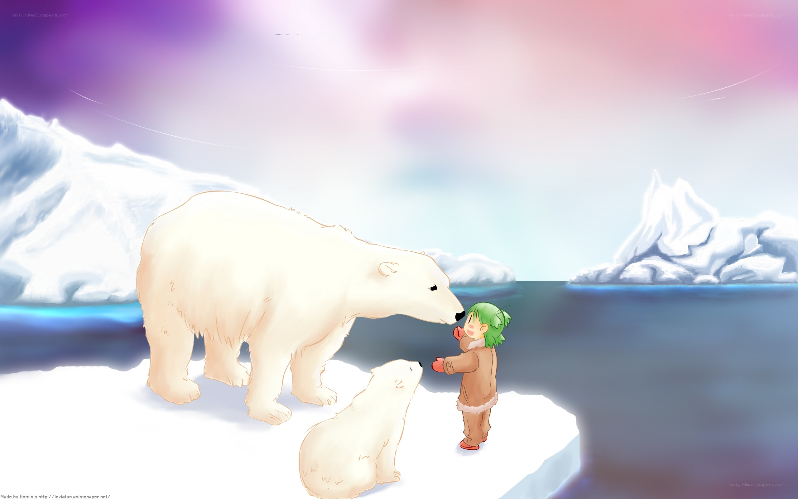 child with polar bears on ice