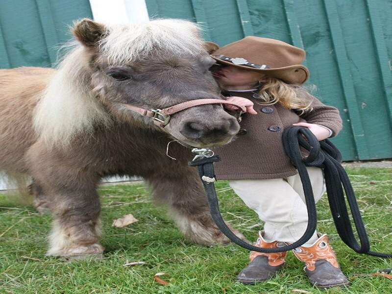 Child with Pony