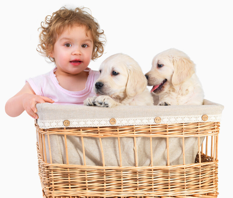 Child with Puppies