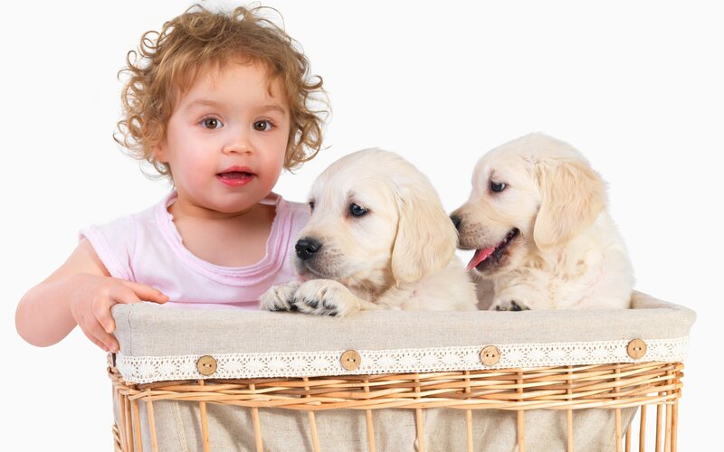 Child with Puppies — White