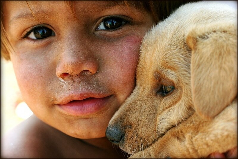 Child with Puppy — Brown