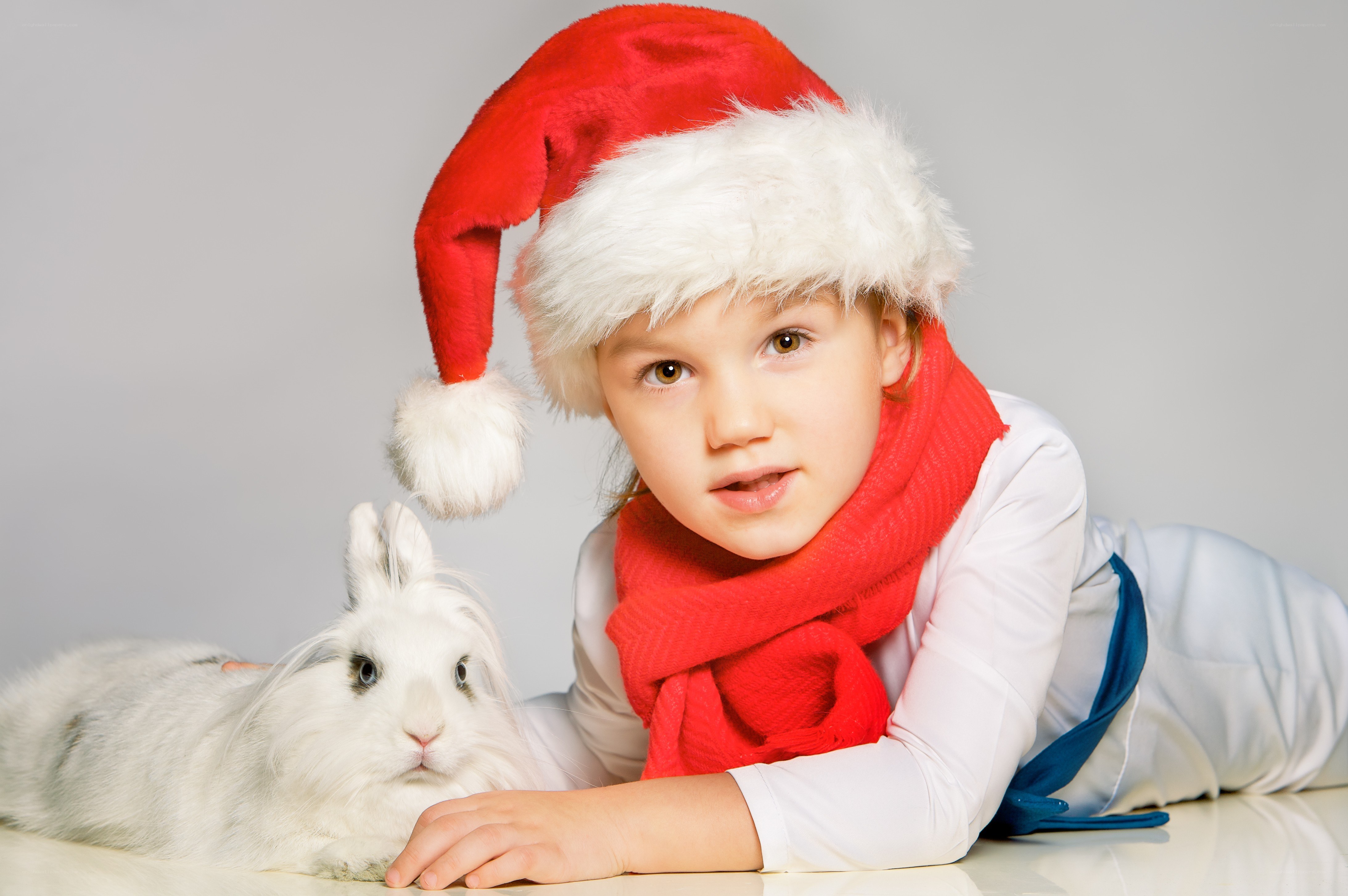 child with rabbit in santa hat