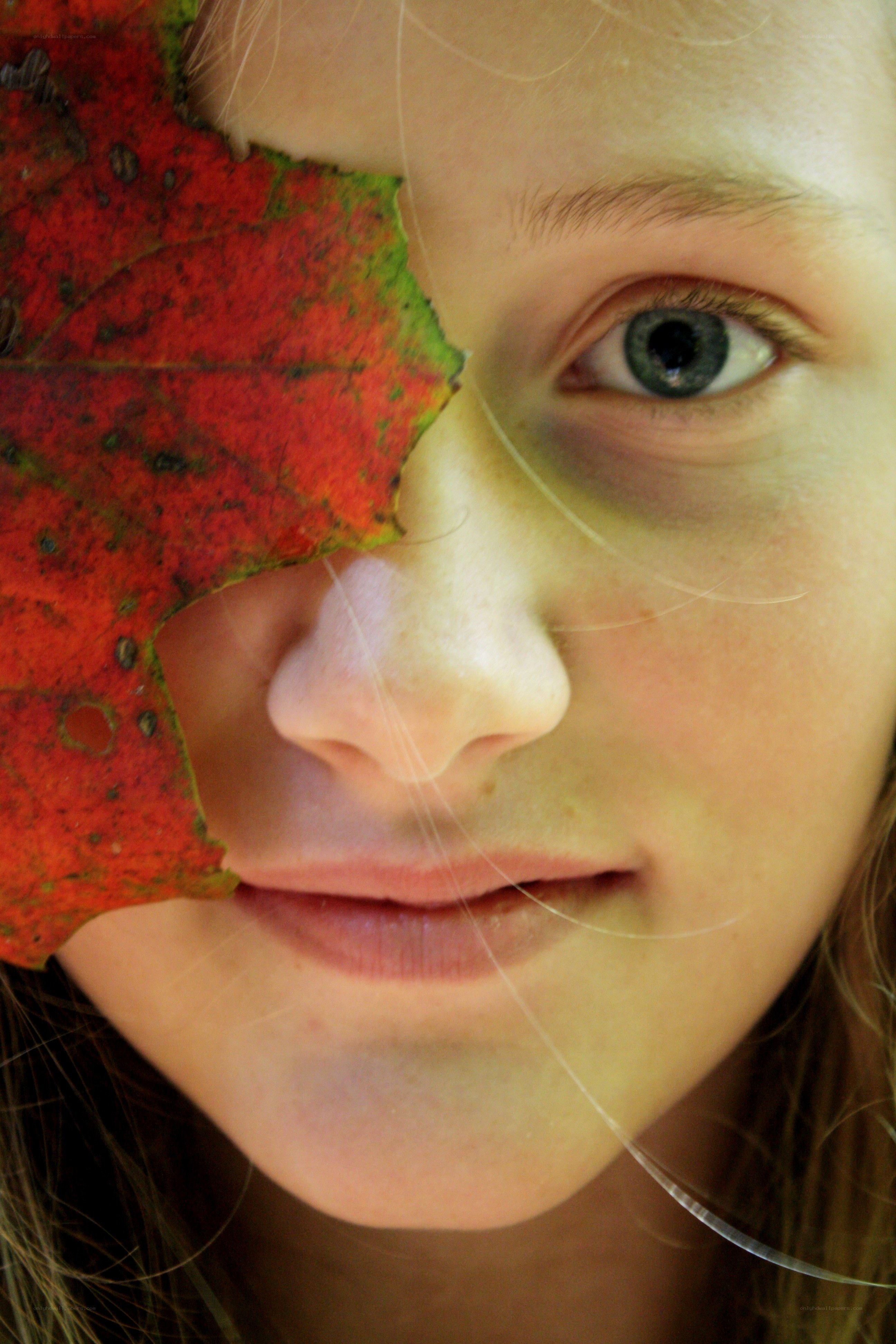 child with red leaf