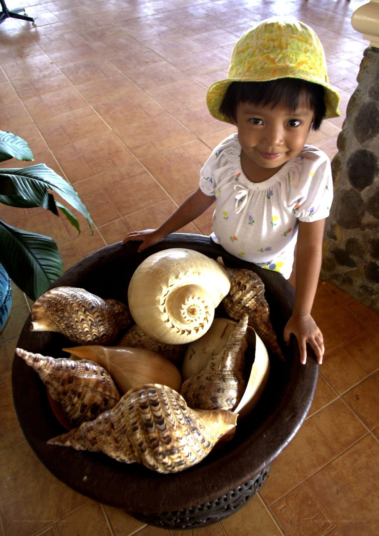 Child with seashells in a bowl