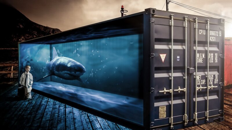 Child with Shark Tank