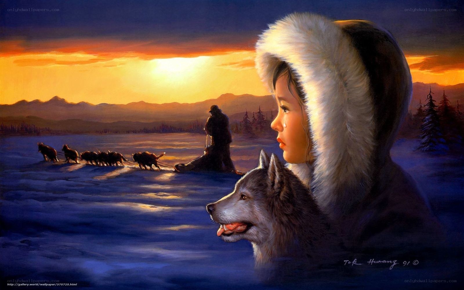 Child with sled dog at sunset