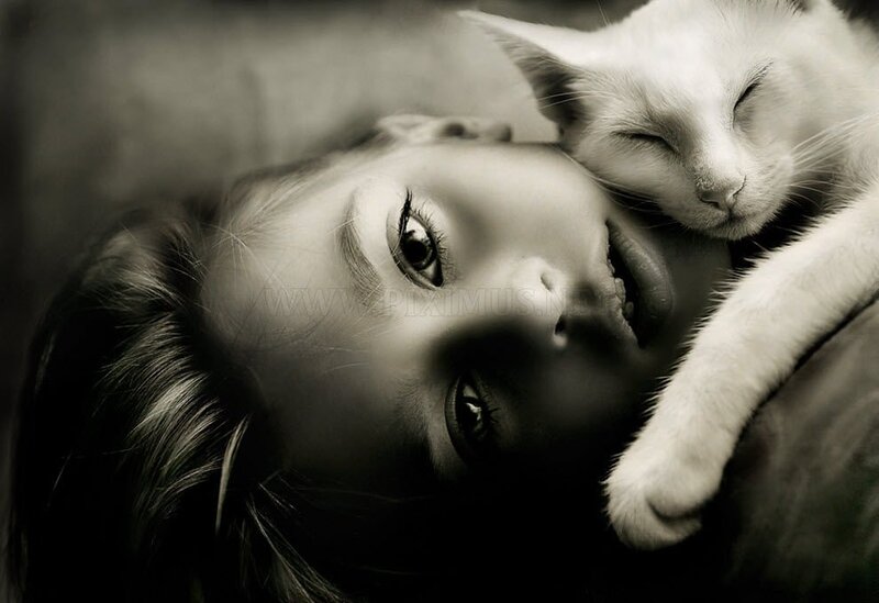 Child with Sleeping Cat