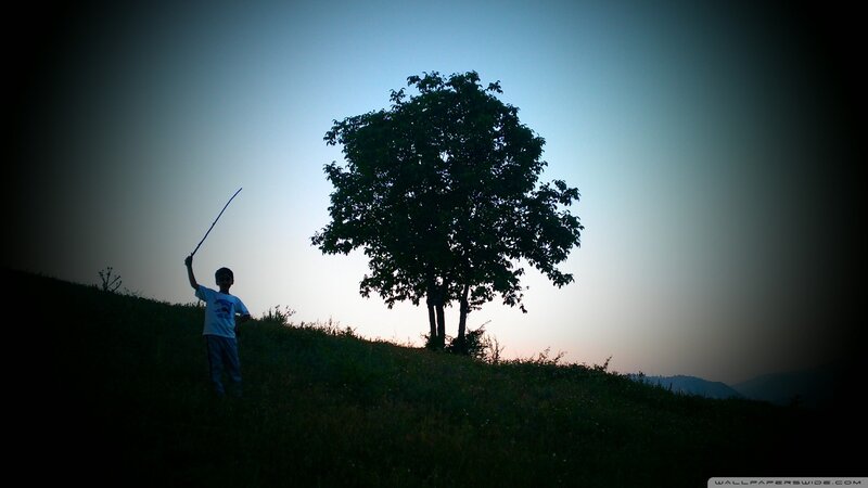 Child with stick on hillside