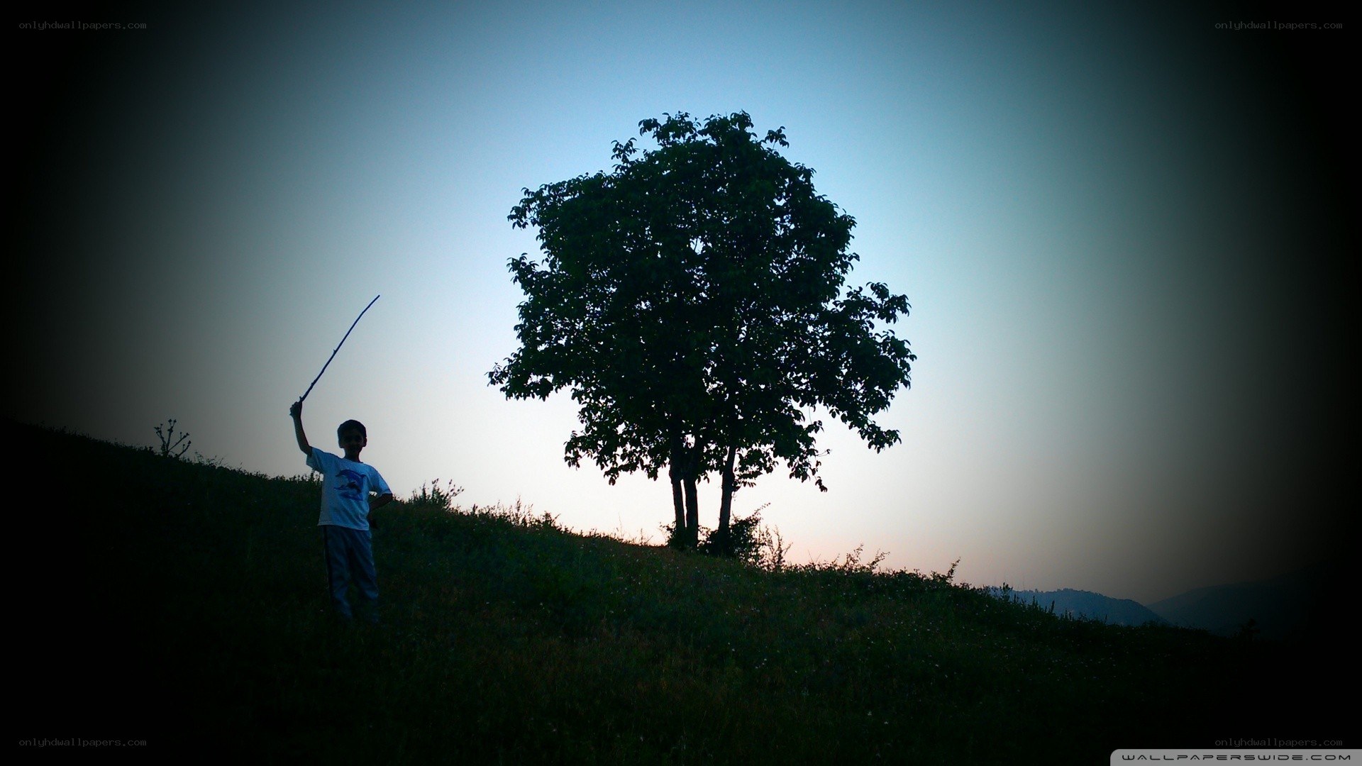 Child with stick on hillside