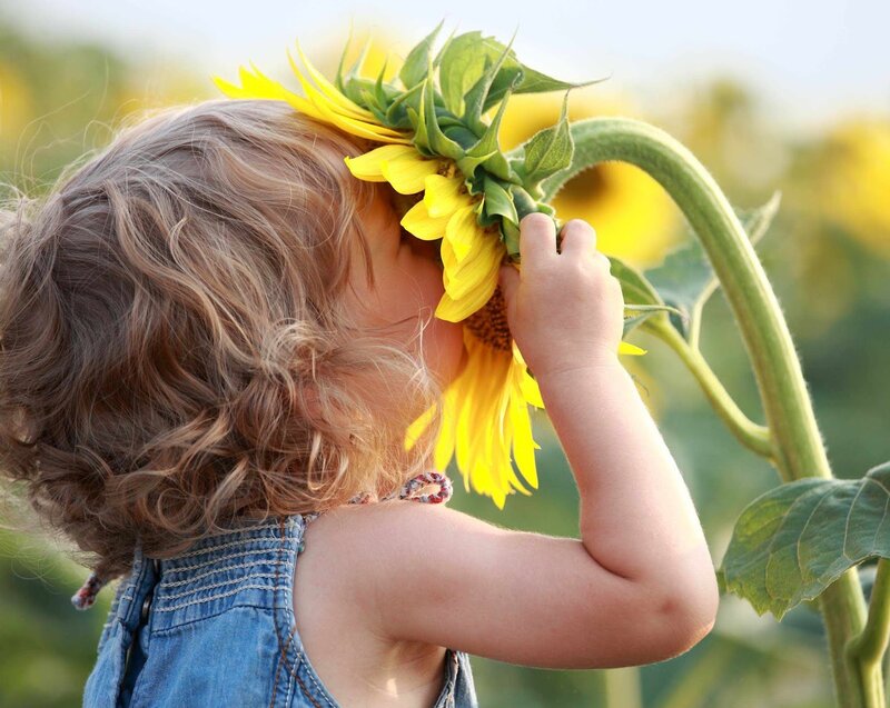 Child with Sunflower — Yellow