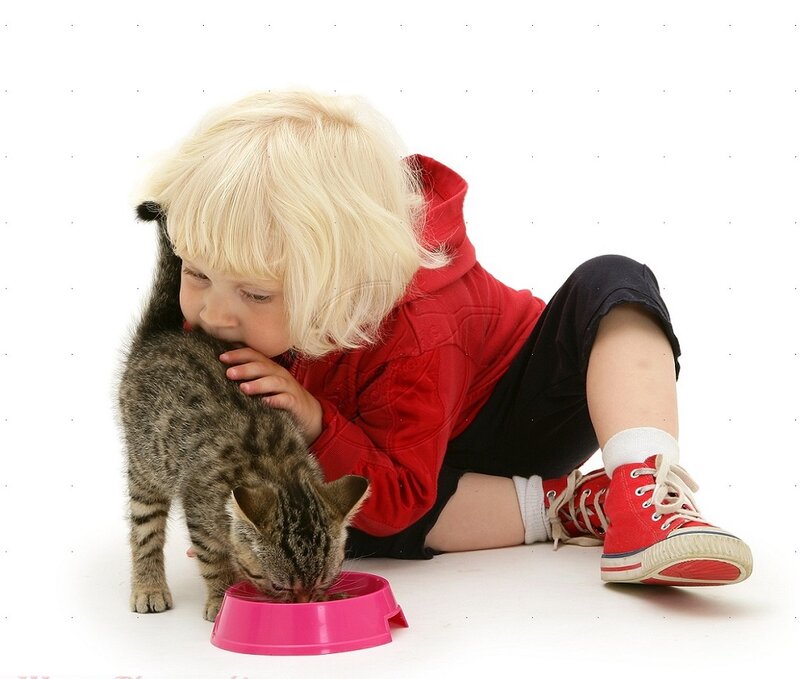 Child with Tabby Cat