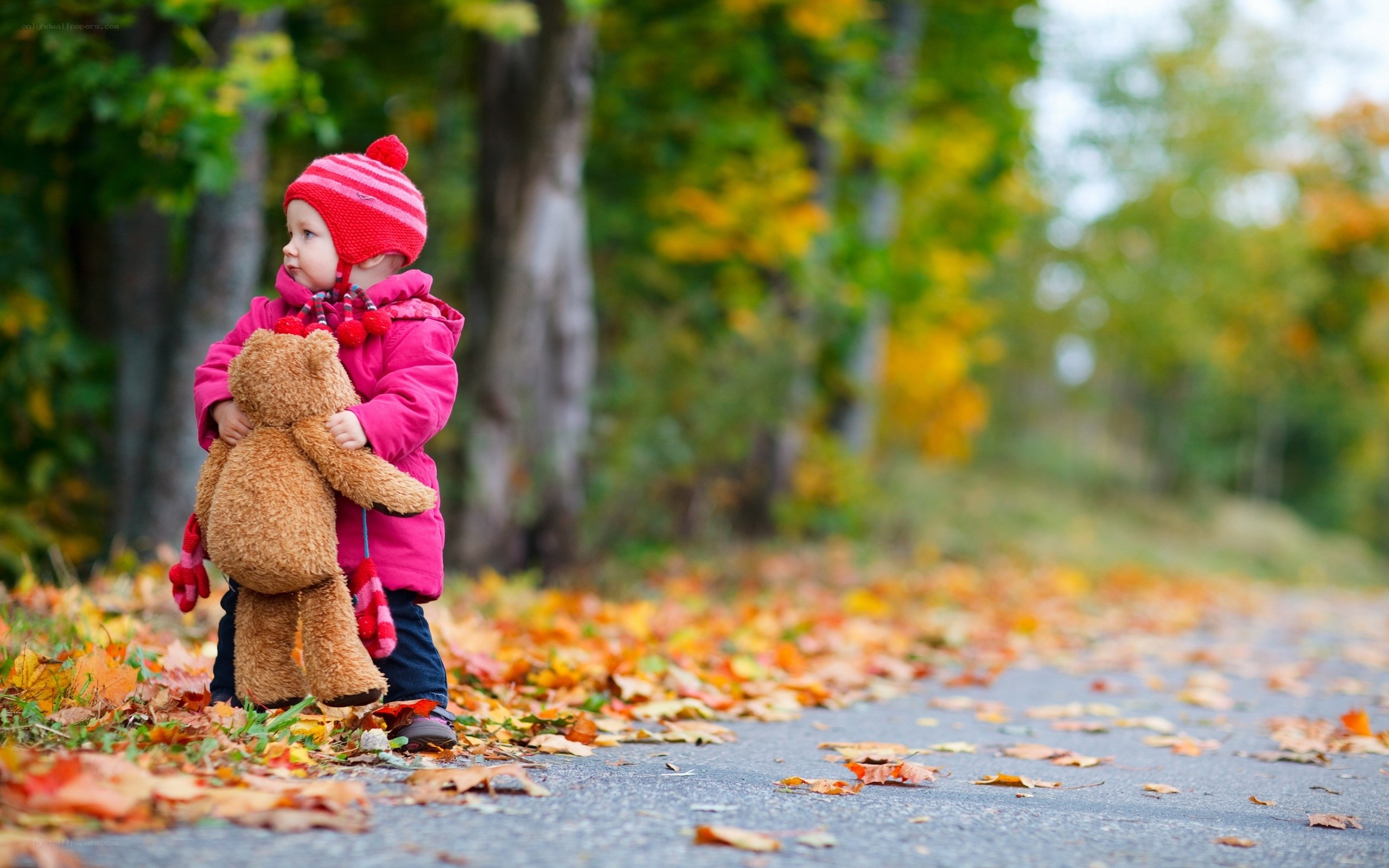 child with teddy bear in autumn