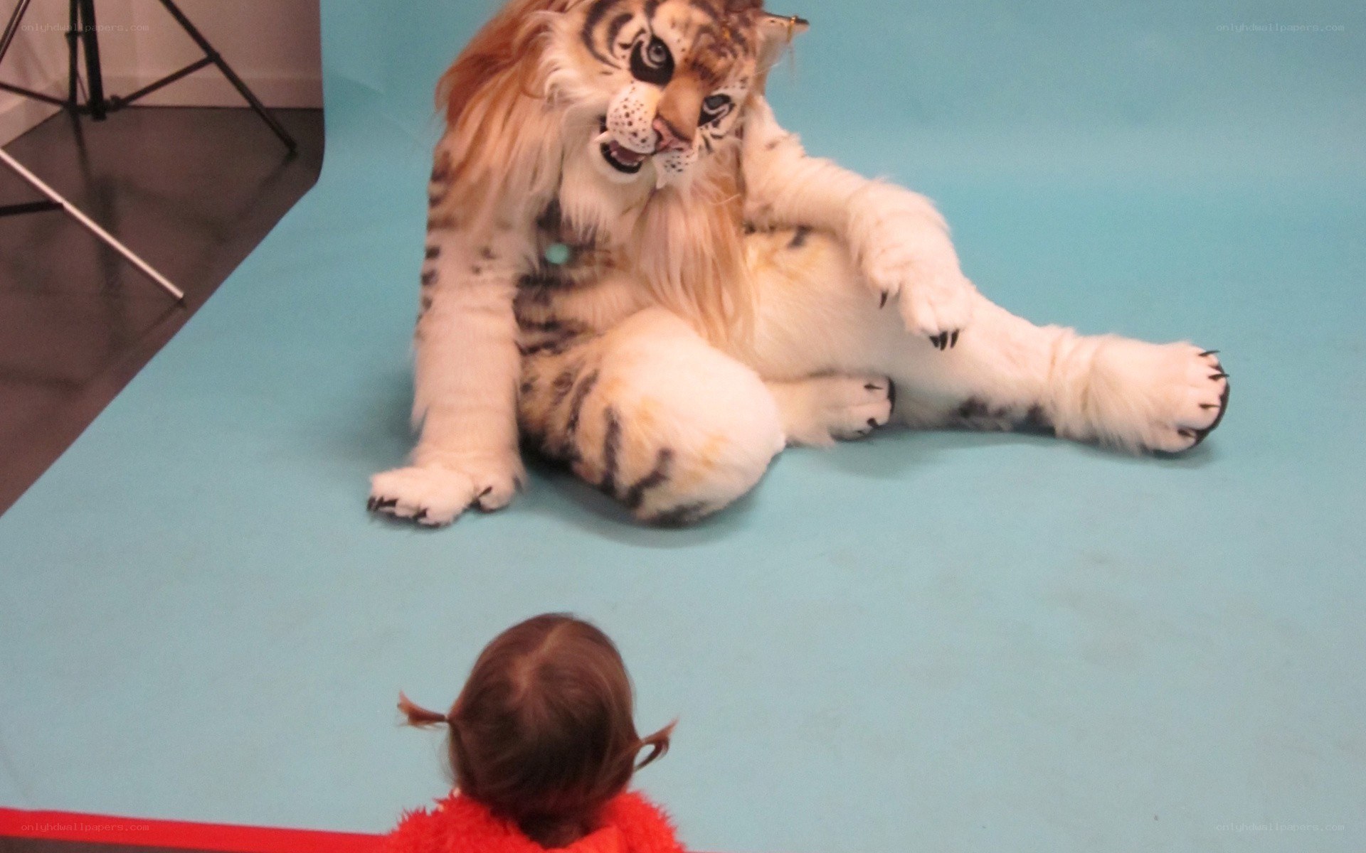 child with tiger costume