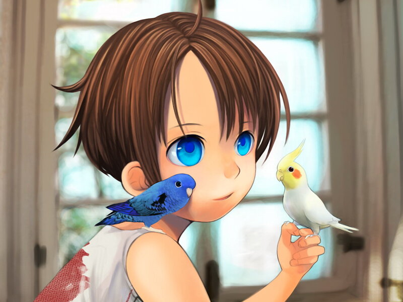 child with two birds