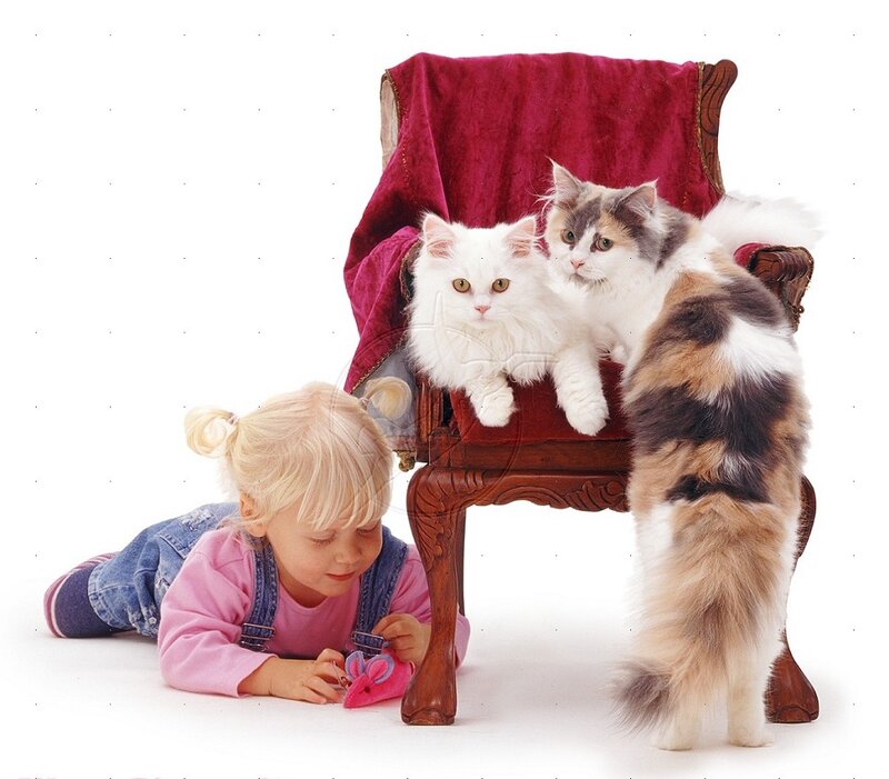 Child with Two Cats