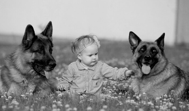 Child with Two Dogs — Black, Peaceful