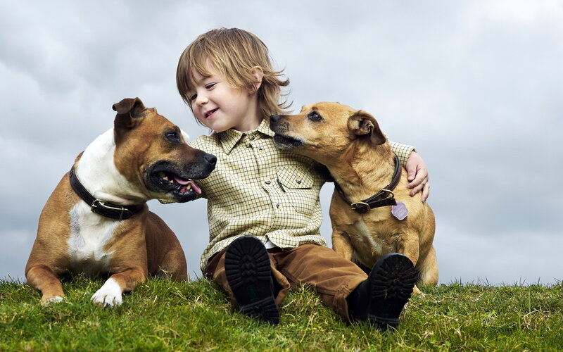 Child with Two Dogs — Green