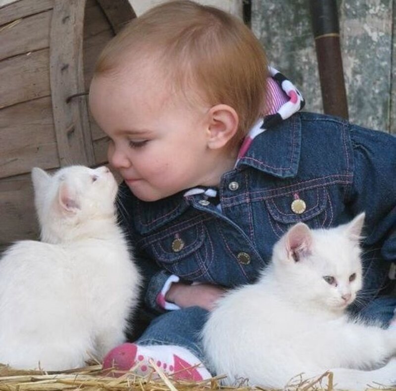 Child with Two Kittens