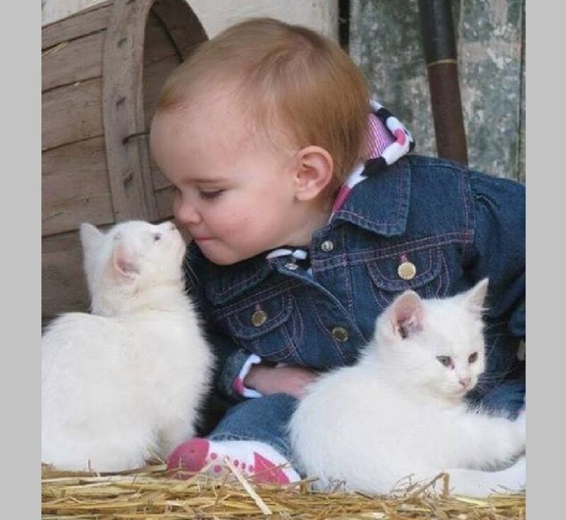 Child with Two White Kittens