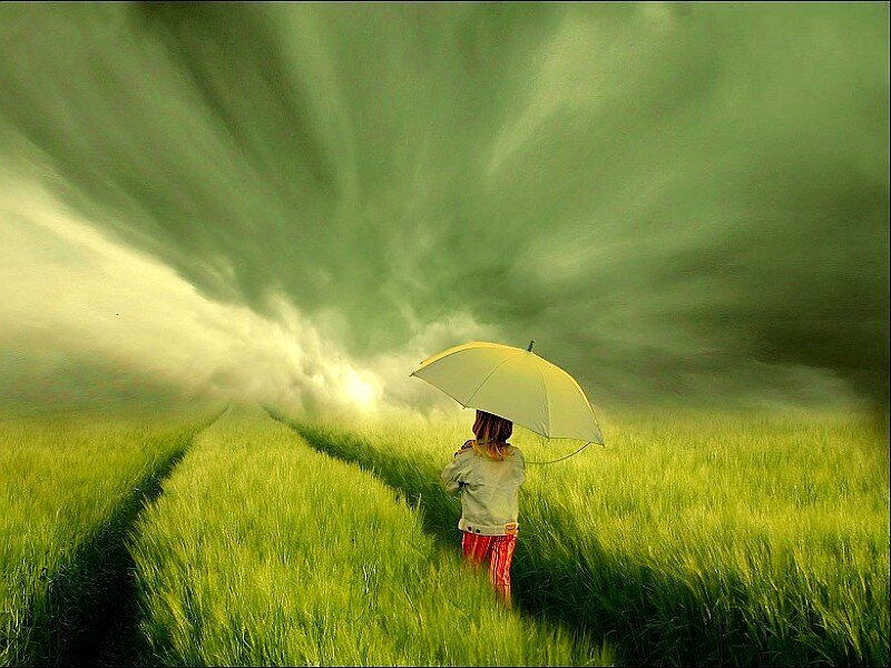 Child with umbrella in green field